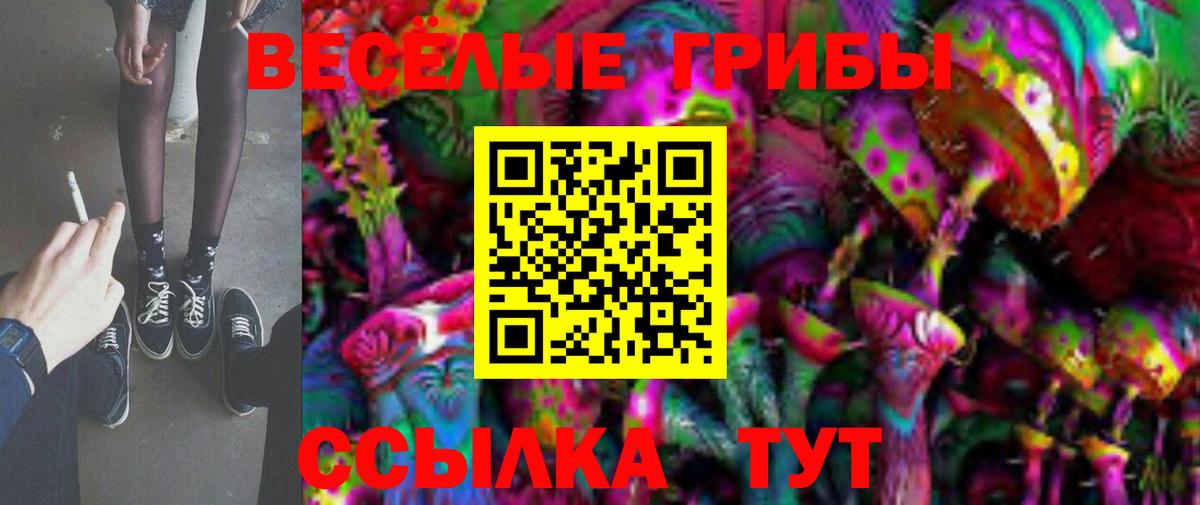 Павловский Посад  Галлюциногенные грибы Psilocybine cubensis  Вход с VPN 